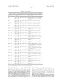 DNA AMPLIFICATION AND SEQUENCING USING DNA MOLECULES GENERATED BY RANDOM     FRAGMENTATION diagram and image