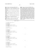 DNA AMPLIFICATION AND SEQUENCING USING DNA MOLECULES GENERATED BY RANDOM     FRAGMENTATION diagram and image