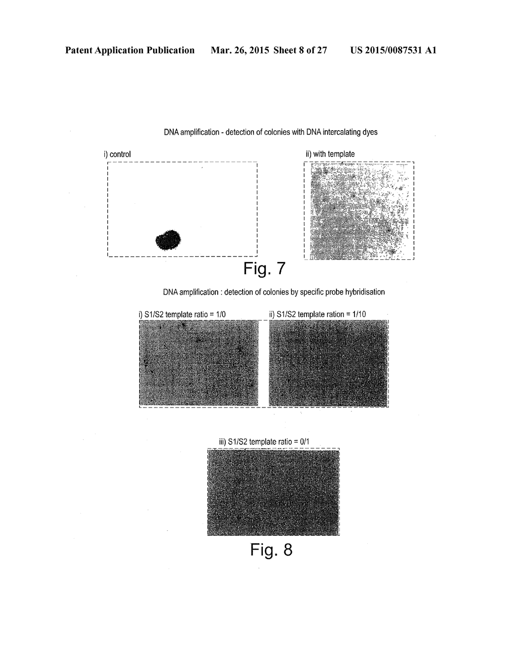 METHOD OF NUCLEIC ACID AMPLIFICATION - diagram, schematic, and image 09