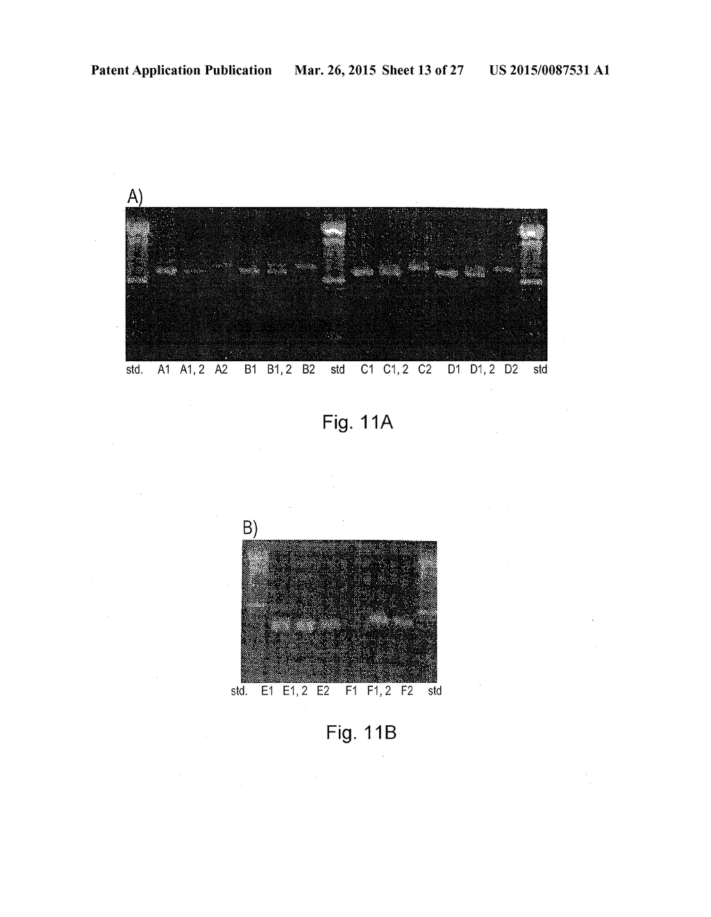 METHOD OF NUCLEIC ACID AMPLIFICATION - diagram, schematic, and image 14