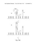 METHOD OF NUCLEIC ACID AMPLIFICATION diagram and image