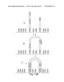 METHOD OF NUCLEIC ACID AMPLIFICATION diagram and image