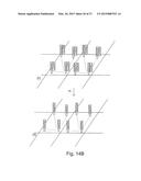 METHOD OF NUCLEIC ACID AMPLIFICATION diagram and image