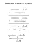 METHOD OF NUCLEIC ACID AMPLIFICATION diagram and image