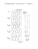 METHOD OF NUCLEIC ACID AMPLIFICATION diagram and image