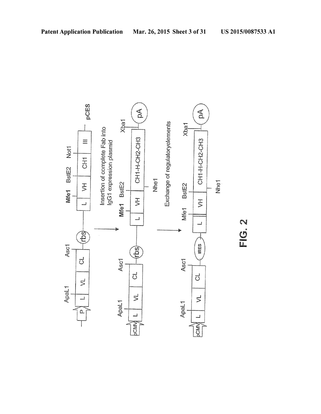 LIGAND SCREENING AND DISCOVERY - diagram, schematic, and image 04