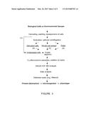 METHODS AND SYSTEMS FOR SAMPLING, SCREENING, AND DIAGNOSIS diagram and image