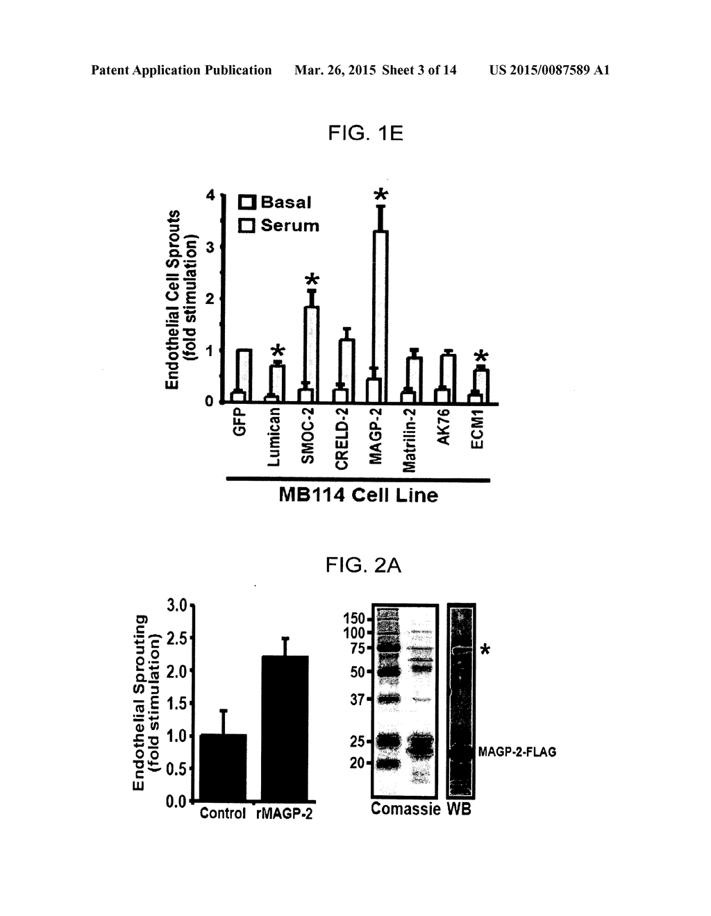 GENES AND PROTEINS ASSOCIATED WITH ANGIOGENESIS AND USES THEREOF - diagram, schematic, and image 04