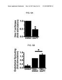 GENES AND PROTEINS ASSOCIATED WITH ANGIOGENESIS AND USES THEREOF diagram and image