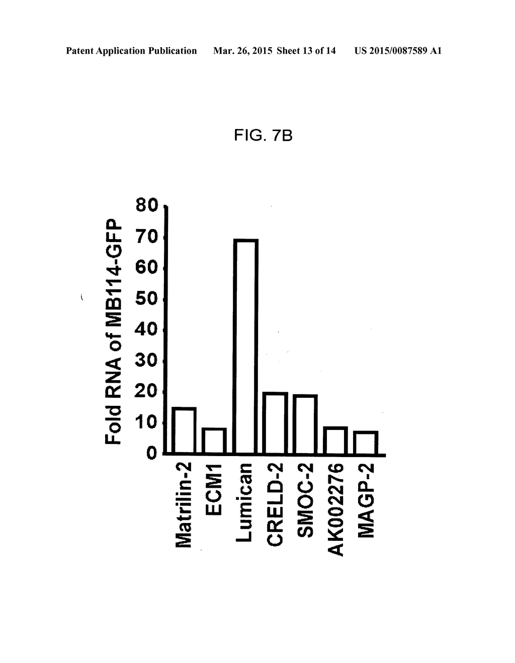 GENES AND PROTEINS ASSOCIATED WITH ANGIOGENESIS AND USES THEREOF - diagram, schematic, and image 14