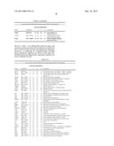 GENES AND PROTEINS ASSOCIATED WITH ANGIOGENESIS AND USES THEREOF diagram and image