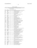 GENES AND PROTEINS ASSOCIATED WITH ANGIOGENESIS AND USES THEREOF diagram and image