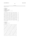 GENES AND PROTEINS ASSOCIATED WITH ANGIOGENESIS AND USES THEREOF diagram and image