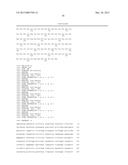 GENES AND PROTEINS ASSOCIATED WITH ANGIOGENESIS AND USES THEREOF diagram and image