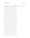 GENES AND PROTEINS ASSOCIATED WITH ANGIOGENESIS AND USES THEREOF diagram and image