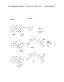 CYTOTOXIC-DRUG DELIVERING MOLECULES TARGETING HIV (CDM-HS), CYTOTOXIC     ACTIVITY AGAINST THE HUMAN IMMUNODEFICIENCY VIRUS AND METHODS OF USE diagram and image