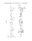 CYTOTOXIC-DRUG DELIVERING MOLECULES TARGETING HIV (CDM-HS), CYTOTOXIC     ACTIVITY AGAINST THE HUMAN IMMUNODEFICIENCY VIRUS AND METHODS OF USE diagram and image