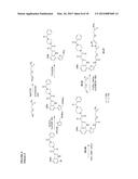 CYTOTOXIC-DRUG DELIVERING MOLECULES TARGETING HIV (CDM-HS), CYTOTOXIC     ACTIVITY AGAINST THE HUMAN IMMUNODEFICIENCY VIRUS AND METHODS OF USE diagram and image