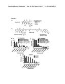 CYTOTOXIC-DRUG DELIVERING MOLECULES TARGETING HIV (CDM-HS), CYTOTOXIC     ACTIVITY AGAINST THE HUMAN IMMUNODEFICIENCY VIRUS AND METHODS OF USE diagram and image