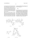 CYTOTOXIC-DRUG DELIVERING MOLECULES TARGETING HIV (CDM-HS), CYTOTOXIC     ACTIVITY AGAINST THE HUMAN IMMUNODEFICIENCY VIRUS AND METHODS OF USE diagram and image