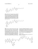 CYTOTOXIC-DRUG DELIVERING MOLECULES TARGETING HIV (CDM-HS), CYTOTOXIC     ACTIVITY AGAINST THE HUMAN IMMUNODEFICIENCY VIRUS AND METHODS OF USE diagram and image