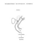 BILE ACID RECYCLING INHIBITORS AND SATIOGENS FOR TREATMENT OF DIABETES,     OBESITY, AND INFLAMMATORY GASTROINTESTINAL CONDITIONS diagram and image