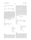 PHARMACEUTICAL FORMULATIONS OF SUBSTITUTED AZAINDOLEOXOACETIC PIPERAZINE     DERIVATIVES WITH PROTEASE INHIBITORS diagram and image