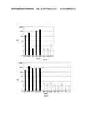 MICRORNA-BASED METHODS AND COMPOSITIONS FOR THE DIAGNOSIS, PROGNOSIS AND     TREATMENT OF TUMOR INVOLVING CHROMOSOMAL REARRANGEMENTS diagram and image