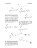 COMPOSITIONS AND METHODS FOR THE TREATMENT OF MUSCLE PAIN diagram and image