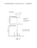 GLYCOPEPTIDE AND USES THEREOF diagram and image