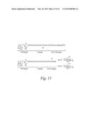 GLYCOPEPTIDE AND USES THEREOF diagram and image