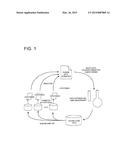 HLA-BINDING PEPTIDES, PRECURSORS THEREOF, DNA FRAGMENTS AND RECOMBINANT     VECTORS THAT CODE FOR THOSE PEPTIDE SEQUENCES diagram and image