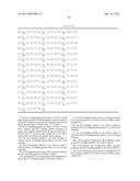 HLA-BINDING PEPTIDES, PRECURSORS THEREOF, DNA FRAGMENTS AND RECOMBINANT     VECTORS THAT CODE FOR THOSE PEPTIDE SEQUENCES diagram and image