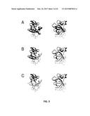 CHIMERIC IL-1 RECEPTOR TYPE I AGONISTS AND ANTAGONISTS diagram and image