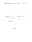 ACID-FUNCTIONALIZED POLYOLEFIN MATERIALS AND THEIR USE IN ACID-PROMOTED     CHEMICAL REACTIONS diagram and image