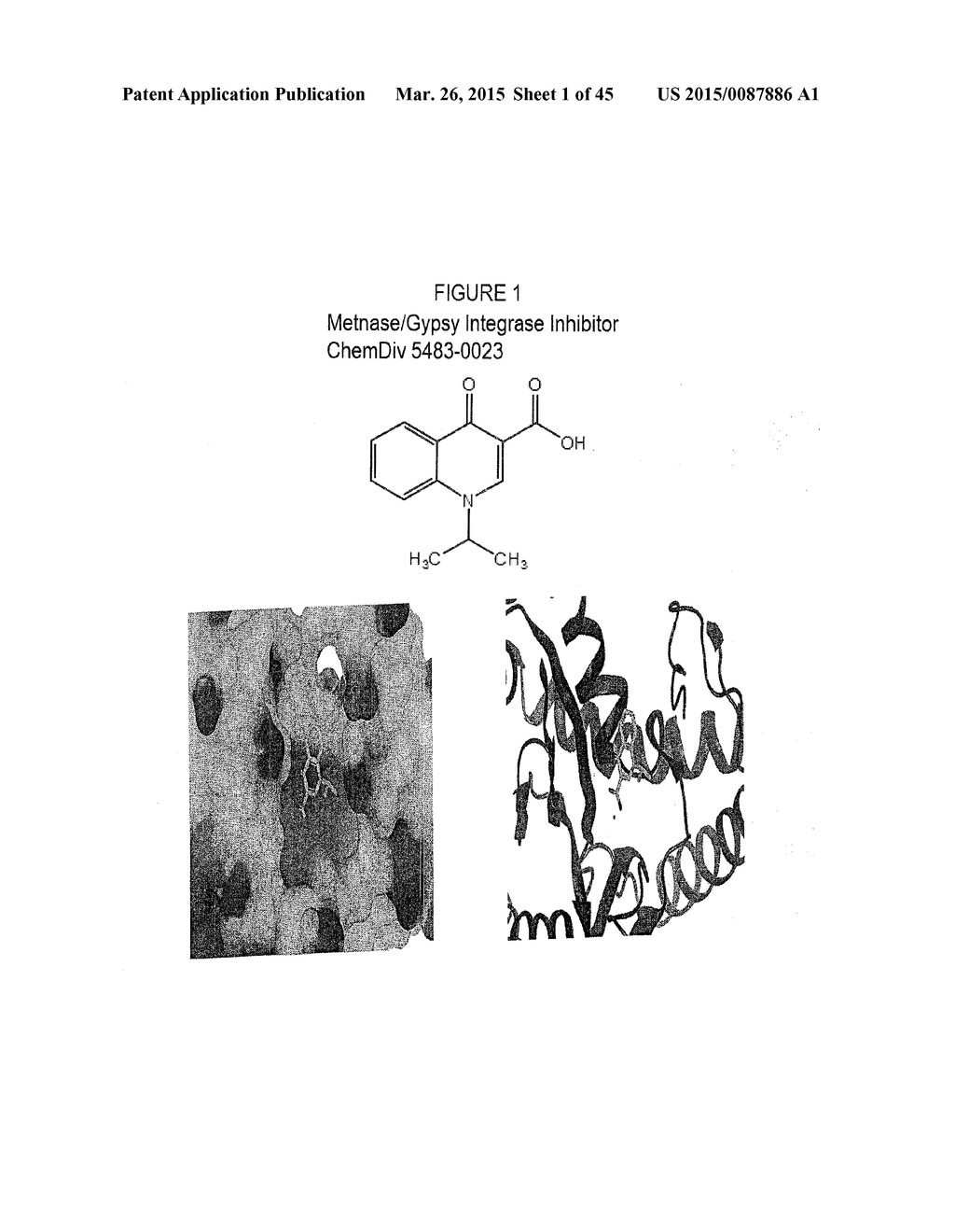 NOVEL BIFUNCTIONAL METNASE/INTNASE INHIBITORS AND RELATED COMPOSITIONS AND     METHODS OF TREATMENT OF CANCER - diagram, schematic, and image 02