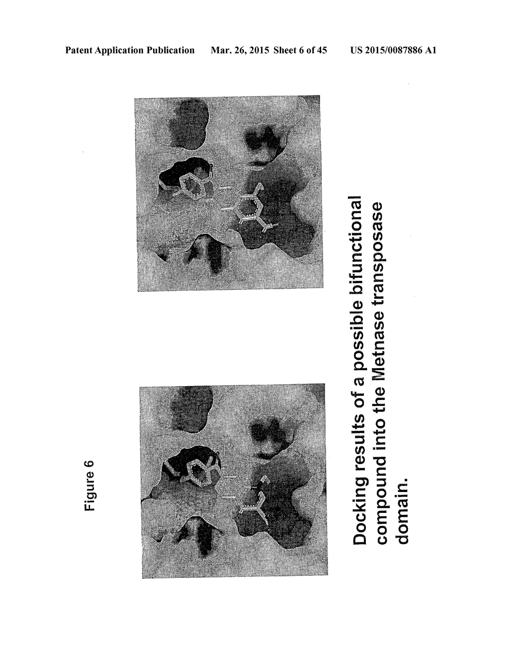 NOVEL BIFUNCTIONAL METNASE/INTNASE INHIBITORS AND RELATED COMPOSITIONS AND     METHODS OF TREATMENT OF CANCER - diagram, schematic, and image 07