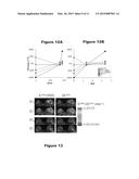 METHOD AND APPARATUS USING MAGNETIC RESONANCE IMAGING FOR TISSUE     PHENOTYPING AND MONITORING diagram and image