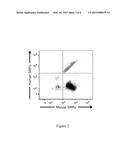 NON-HUMAN ANIMALS HAVING A HUMANIZED SIGNAL-REGULATORY PROTEIN GENE diagram and image