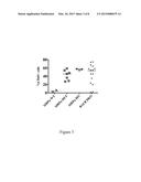 NON-HUMAN ANIMALS HAVING A HUMANIZED SIGNAL-REGULATORY PROTEIN GENE diagram and image