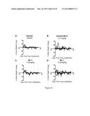 NON-HUMAN ANIMALS HAVING A HUMANIZED SIGNAL-REGULATORY PROTEIN GENE diagram and image