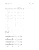 NON-HUMAN ANIMALS HAVING A HUMANIZED SIGNAL-REGULATORY PROTEIN GENE diagram and image