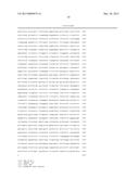 NON-HUMAN ANIMALS HAVING A HUMANIZED SIGNAL-REGULATORY PROTEIN GENE diagram and image