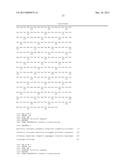 NON-HUMAN ANIMALS HAVING A HUMANIZED SIGNAL-REGULATORY PROTEIN GENE diagram and image