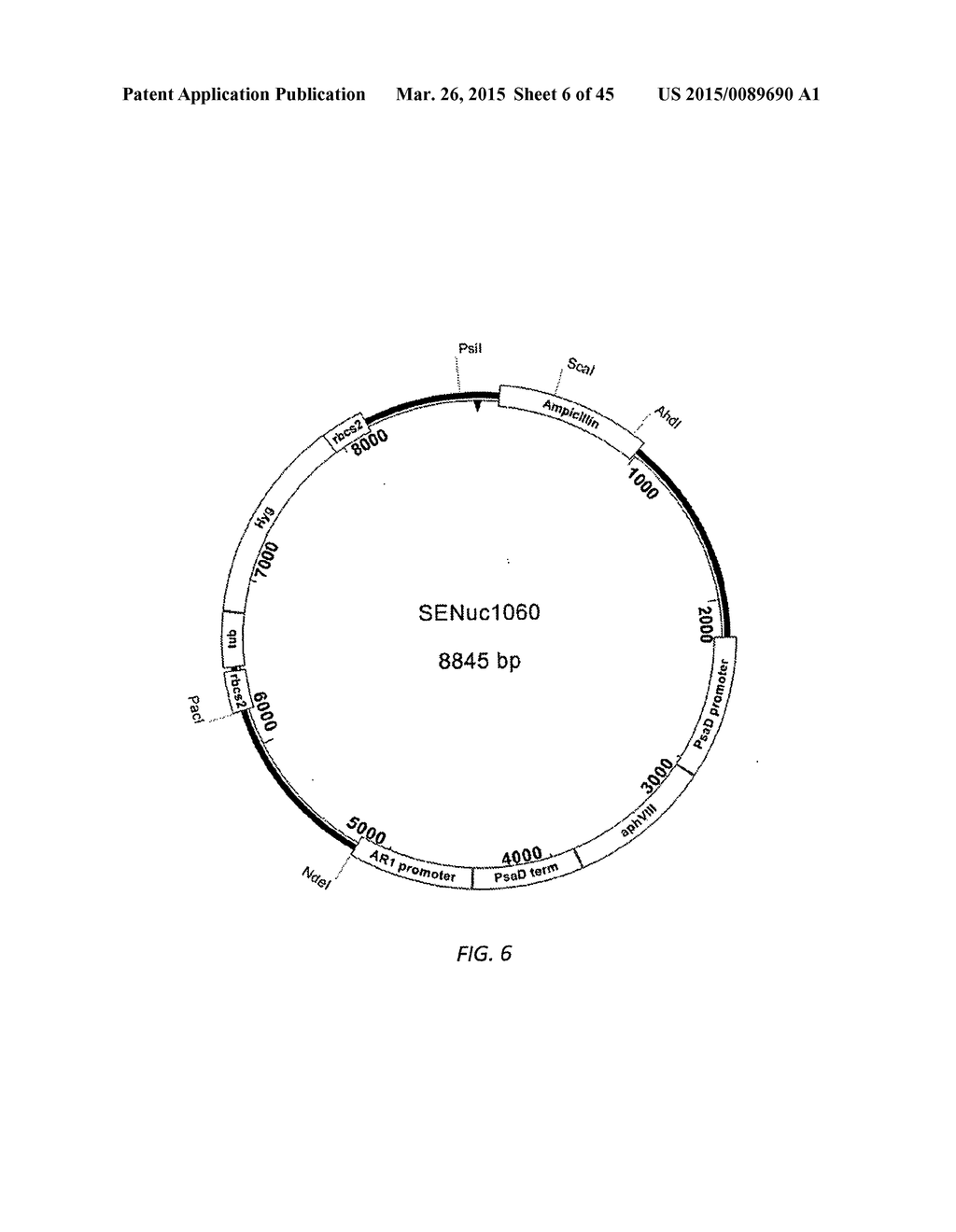 SODIUM HYPOCHLORITE RESISTANT GENES - diagram, schematic, and image 07