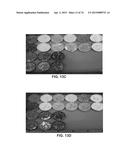 SYSTEMS FOR CUSTOM COLORATION diagram and image