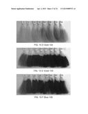 SYSTEMS FOR CUSTOM COLORATION diagram and image