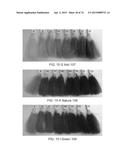 SYSTEMS FOR CUSTOM COLORATION diagram and image