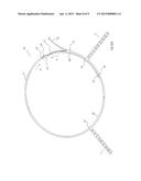 BREAST MEASURING DEVICE FOR DETERMINING BRA SIZE diagram and image