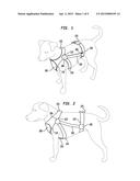 PET TEMPERAMENT SYSTEM AND METHOD diagram and image